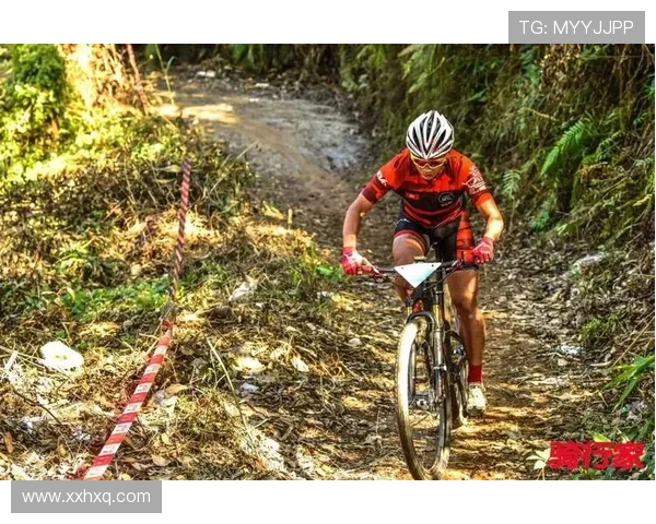 武汉极限运动队荣登全国排行榜第六名展现实力与激情