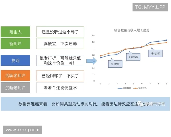 深入分析西安排球队的运营策略与战术打法解析