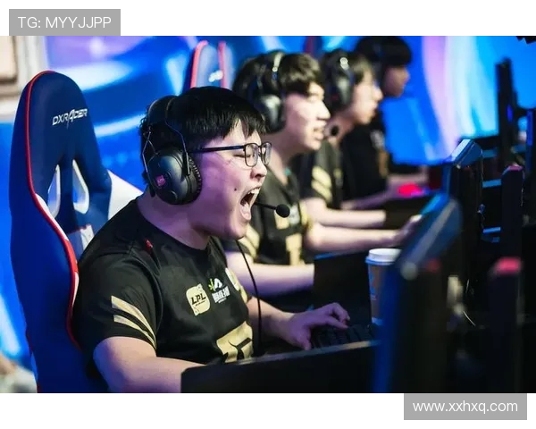 王者荣耀盛宴揭秘RNG战队背后的实力与荣耀之路