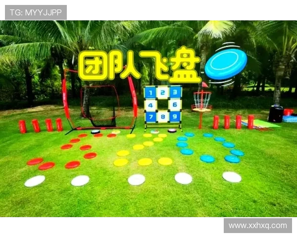 飞盘竞技的魅力:深入了解北京飞盘队的技术与战术解析